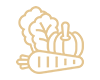 features icon